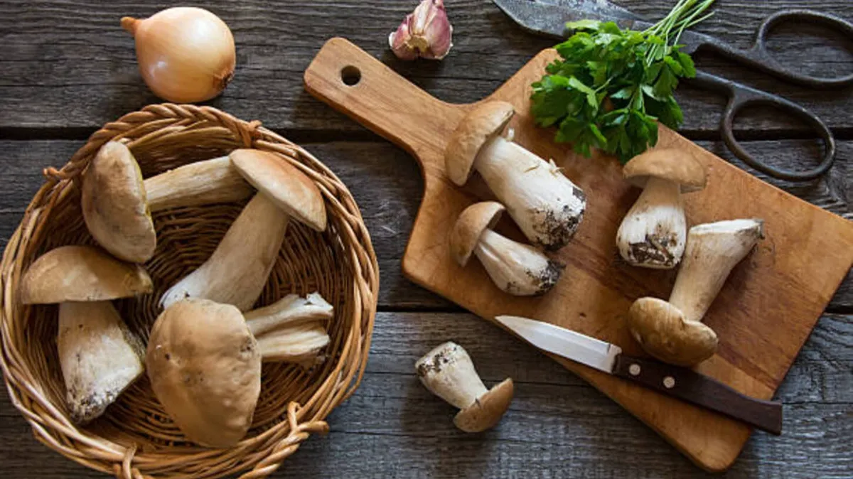 Как замариновать белые грибы на зиму в банках: 5 вкуснейших рецептов с чесноком, уксусом, лимонной кислотой и подсолнечным маслом
