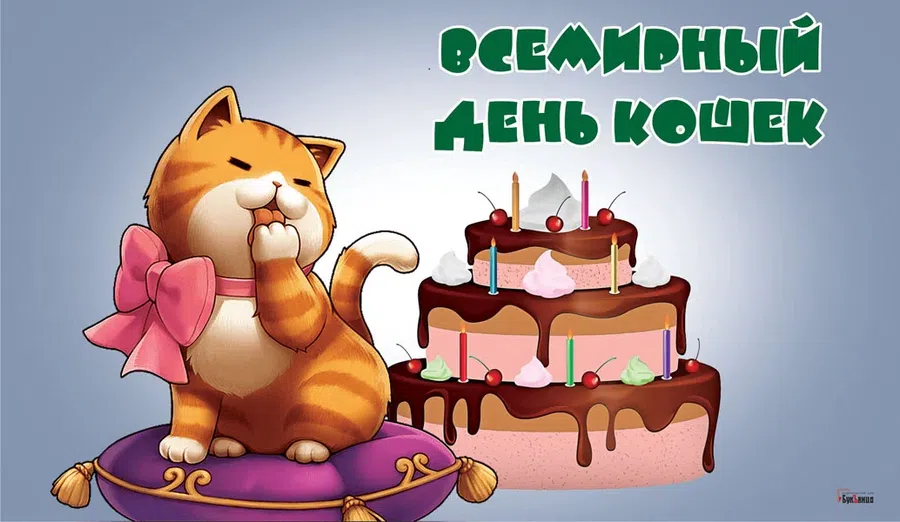8 августа - Всемирный день кошек