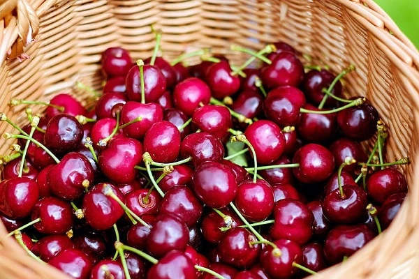 piqsels