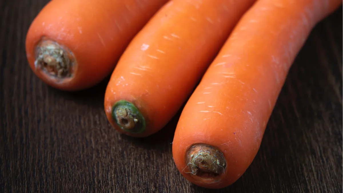 Парикмахер из Москвы засунул себе морковь в анус вместо того, чтобы готовиться к защите диплома - пришлось оперировать под наркозом