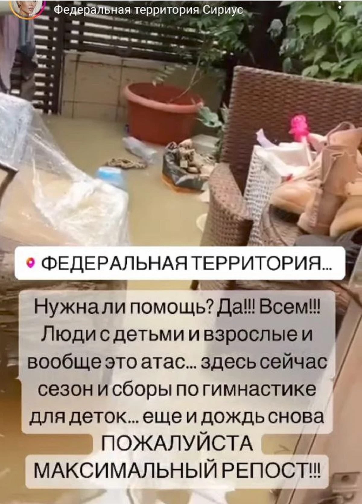 Элина Камирен / Instagram* (принадлежит Meta*, она запрещена в России и признана экстремистской)