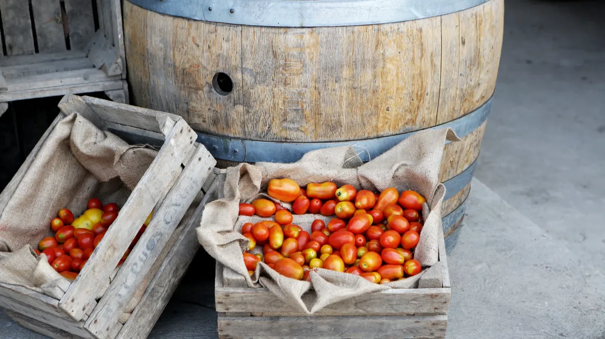 Рассада томатов: как подготовить семена, как ухаживать за рассадой, чтобы при высадке в грунт были плоды – лунный календарь лучших и худших дней для помидоров в феврале и марте 2023 года