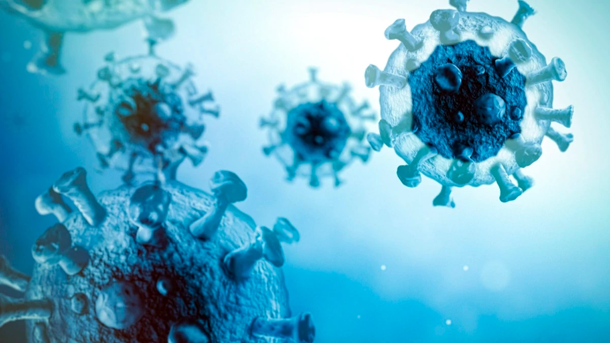«Нулевой иммунитет»: коронавирус может нас «перезагрузить», вернув нас к первоначальной ситуации, предупреждает ВОЗ 