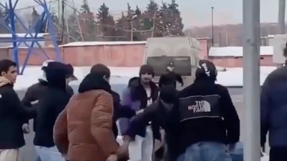 Глава СК РФ Бастрыкин поручил провести проверку по факту избиения таджикскими мигрантами человека, который заступился за девушку – видео