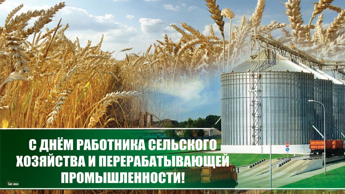 Поздравление с Днем работника сельского хозяйства и перерабатывающей промышленности в России
