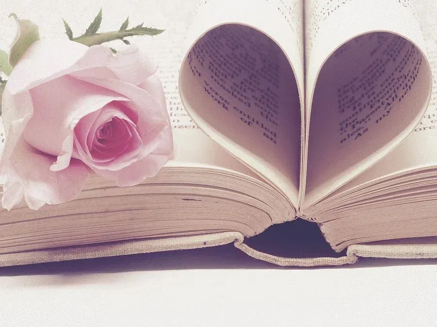 книга, роза, романтика, любовь