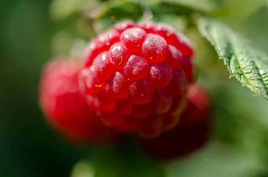pixabay