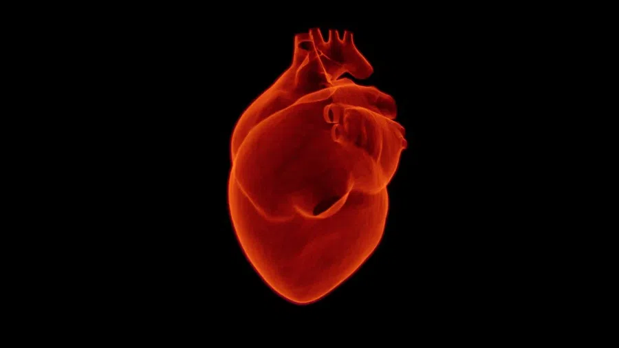 Болезнь Паркинсона редко развивается у перенесших сердечный приступ людей