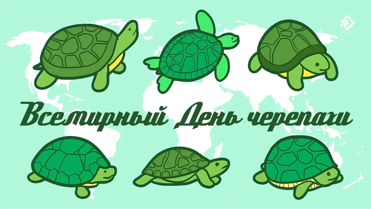 Всемирный день черепахи. Иллюстрация: «Весь Искитим»