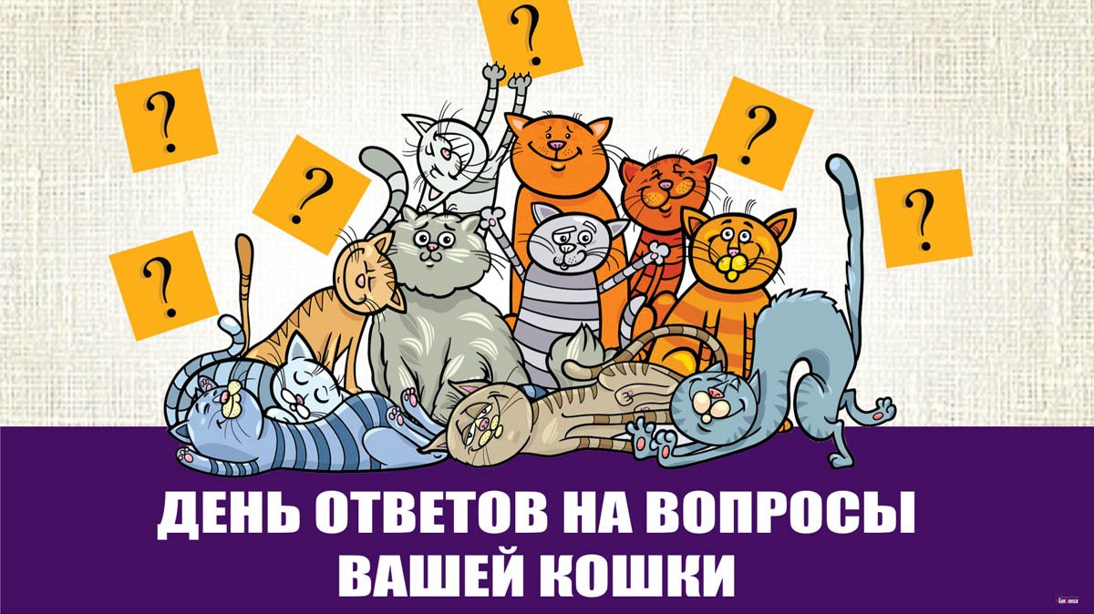 Наречие как часть речи примеры. На ответ отлично какой вопрос. На ответ отлично какой вопрос. Вопросы образа и способа действия. Ответ.