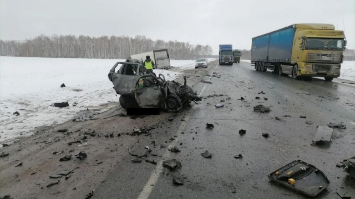 В тройном ДТП в Новосибирской области мужчину и женщину разорвало на части