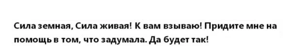 После этого нужно разжечь костер из веточек и бросить в огонь ненужную вещь