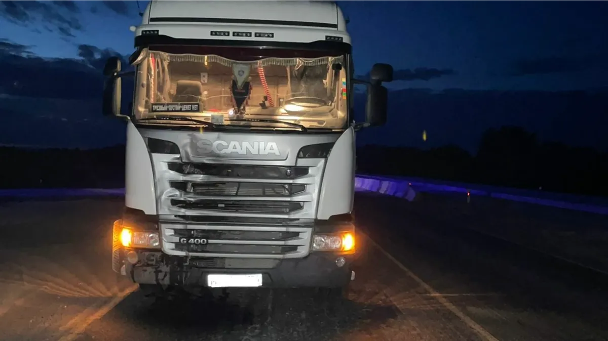 Ночью на трассе под Новосибирском водитель большегруза Scania насмерть сбил неизвестного мужчину