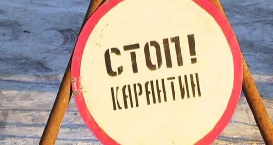 В деревне объявлен карантин
