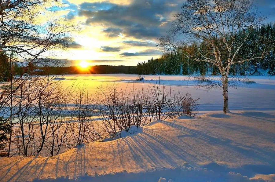солнце, зима