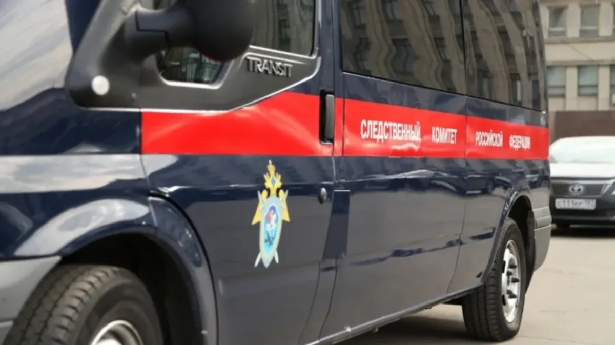 Глава СКР Бастрыкин взял на контроль дело о 7-летней девочки на Сахалине, которую выкрали с детской площадки и изнасиловали 