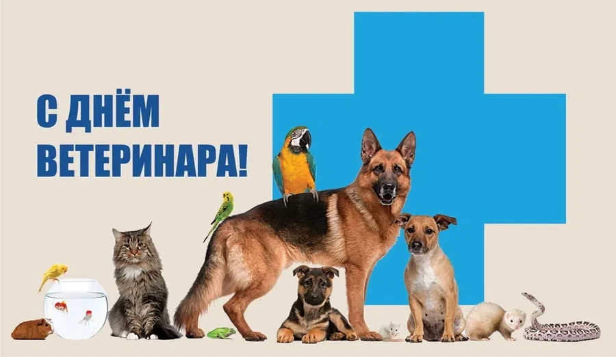 Весь Искитим