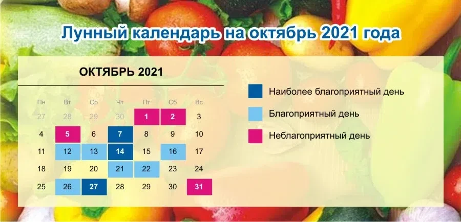 Весь Искитим