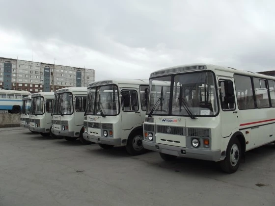 Автобусы