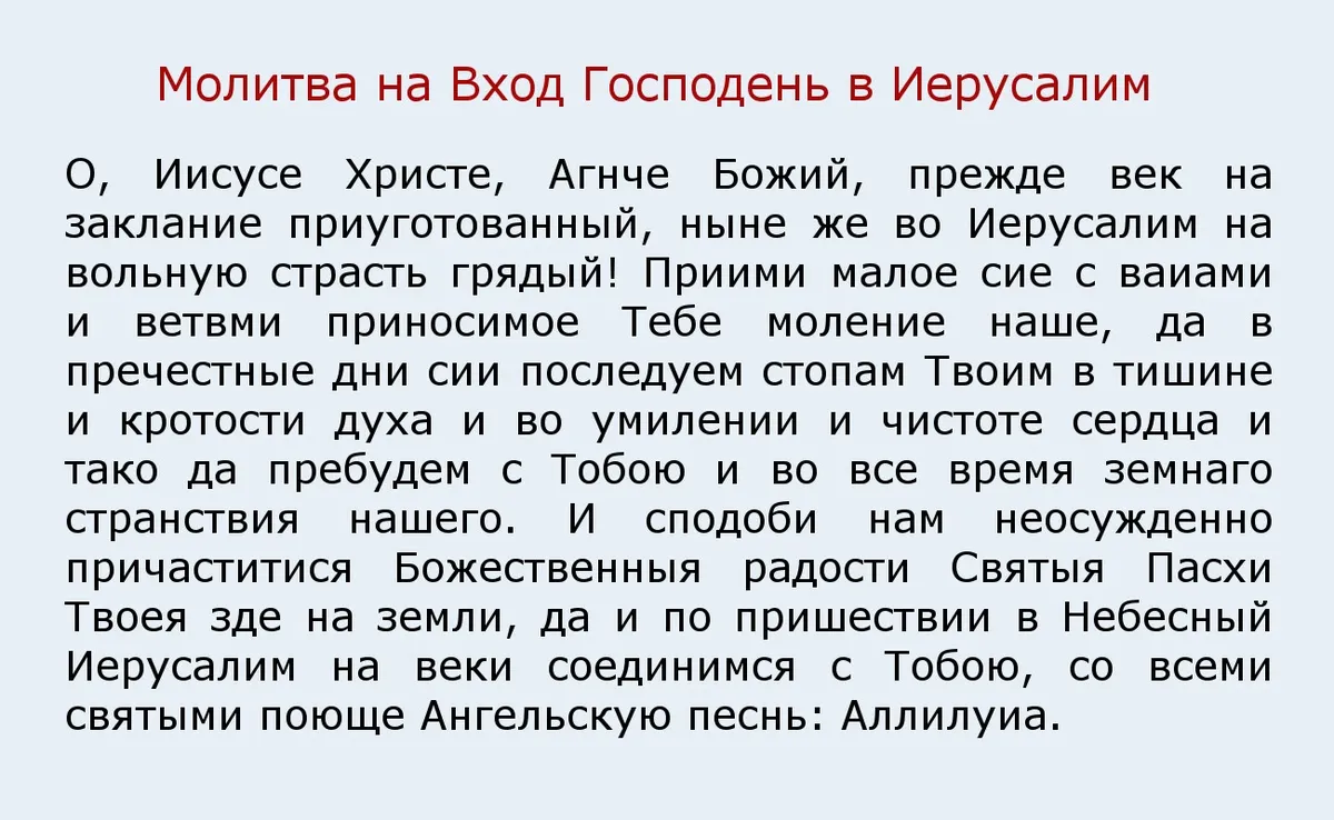 Что можно и что нельзя делать россиянам 9 апреля в Вербное воскресенье: 5  запретов, 7 обязательных дел, 8 народных примет, 3 обряда с вербой,  традиции и молитва праздника Вход Господень в Иерусалим