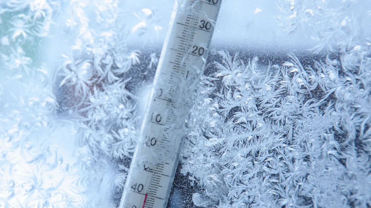 В Бердске сибиряк насмерть замерз в лесу из-за севшего телефона. Подробности трагедии