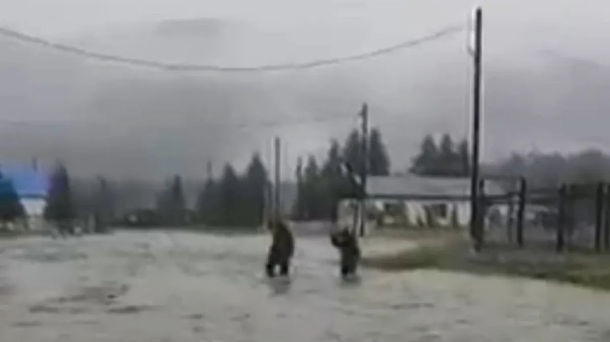 Якутское село Суордах полностью затопило – свыше 300 человек лишились домов – видео