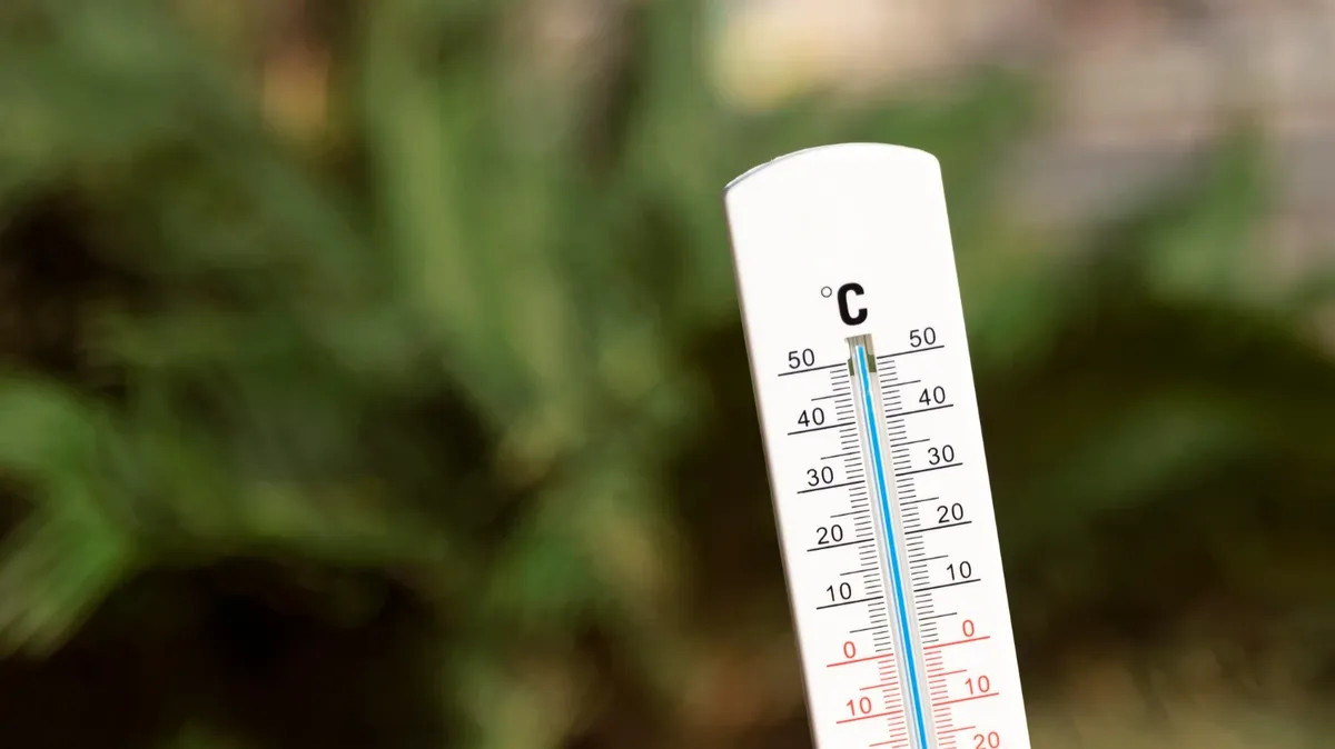В Новосибирской области температура воздуха впервые поднялась до +50 градусов