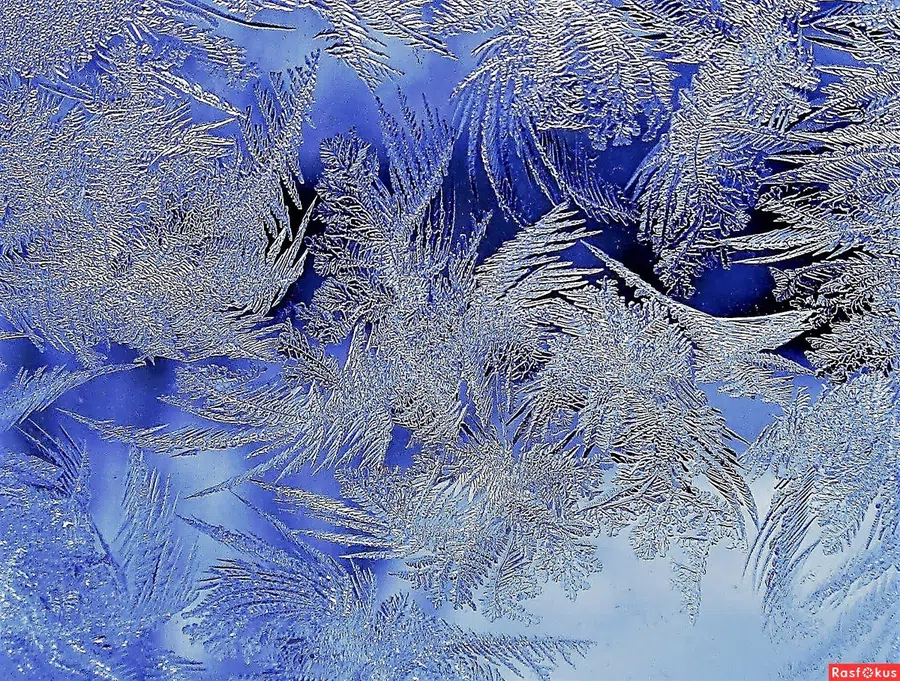 День примерки морозного кружева - 24 января. Фото: Pinterest.ru