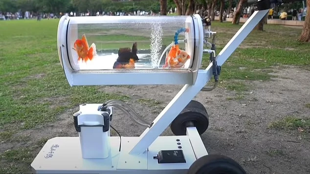 В Тайване блогер сделал специальную коляску для аквариума, чтобы брать с собой свою любимую золотую рыбку на прогулку по городу
