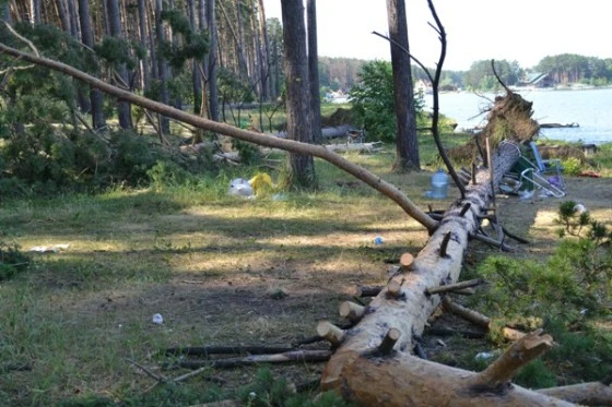 Во время урагана в Бердске погибли две девочки