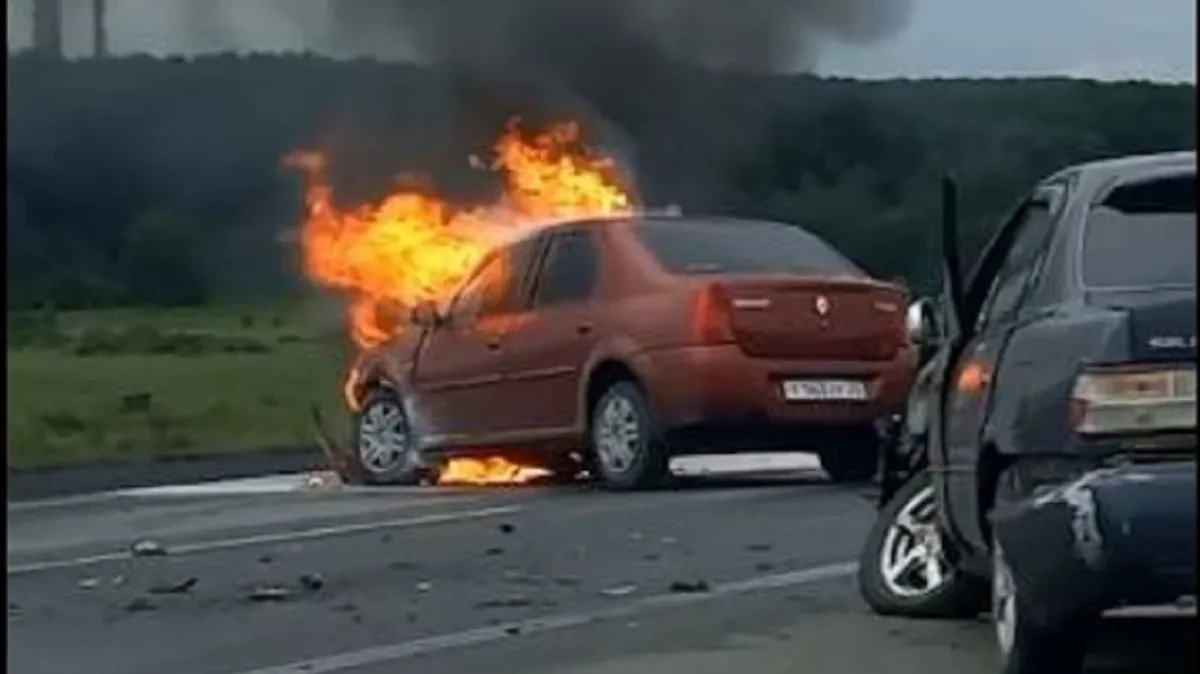 В Искитимском районе на трассе полыхает Renault Logan – видео