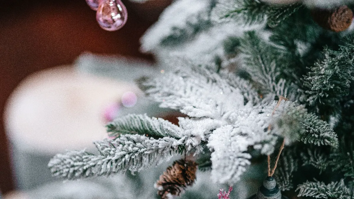 Ритуалы на Новый год: эти три вещи следует обязательно положить под елку, чтобы приманить удачу в 2023 года – 2 ритуала на 31 декабря 