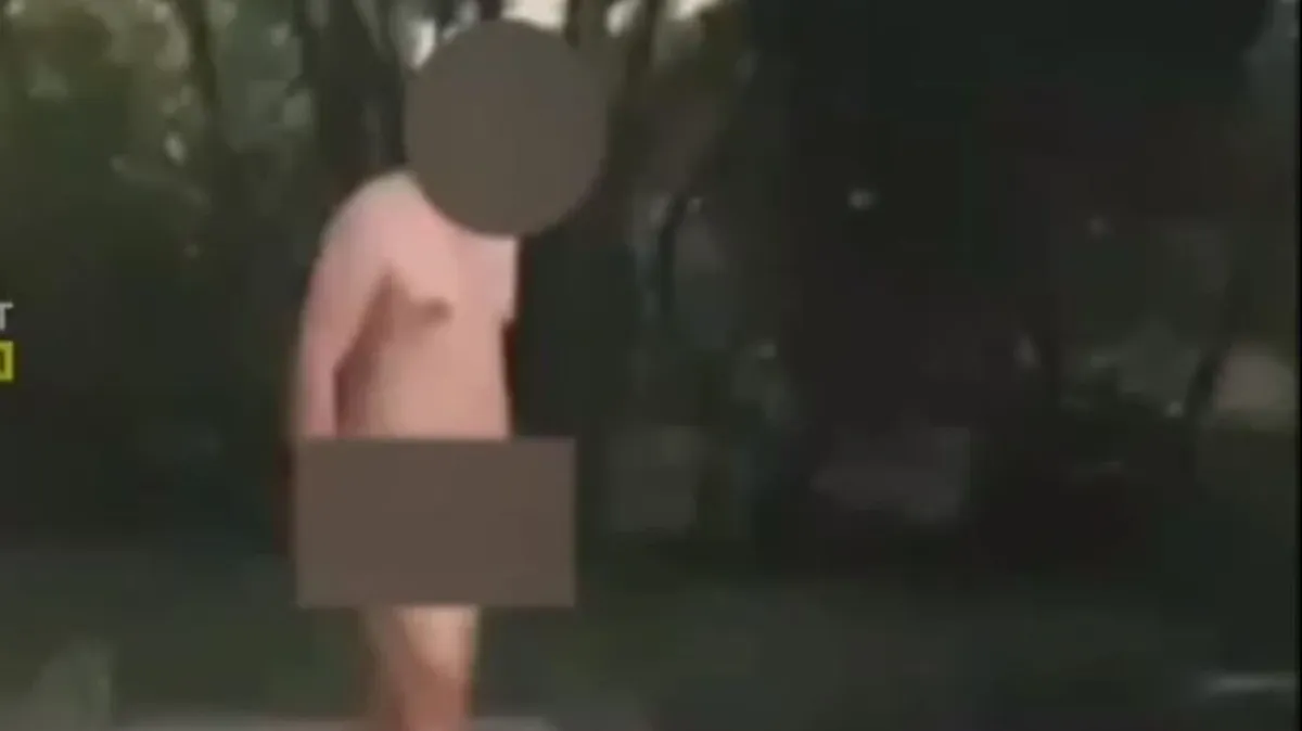 «Выглядел зомбированным» В Нижнем Тагиле полицейские задержали голого мужчину