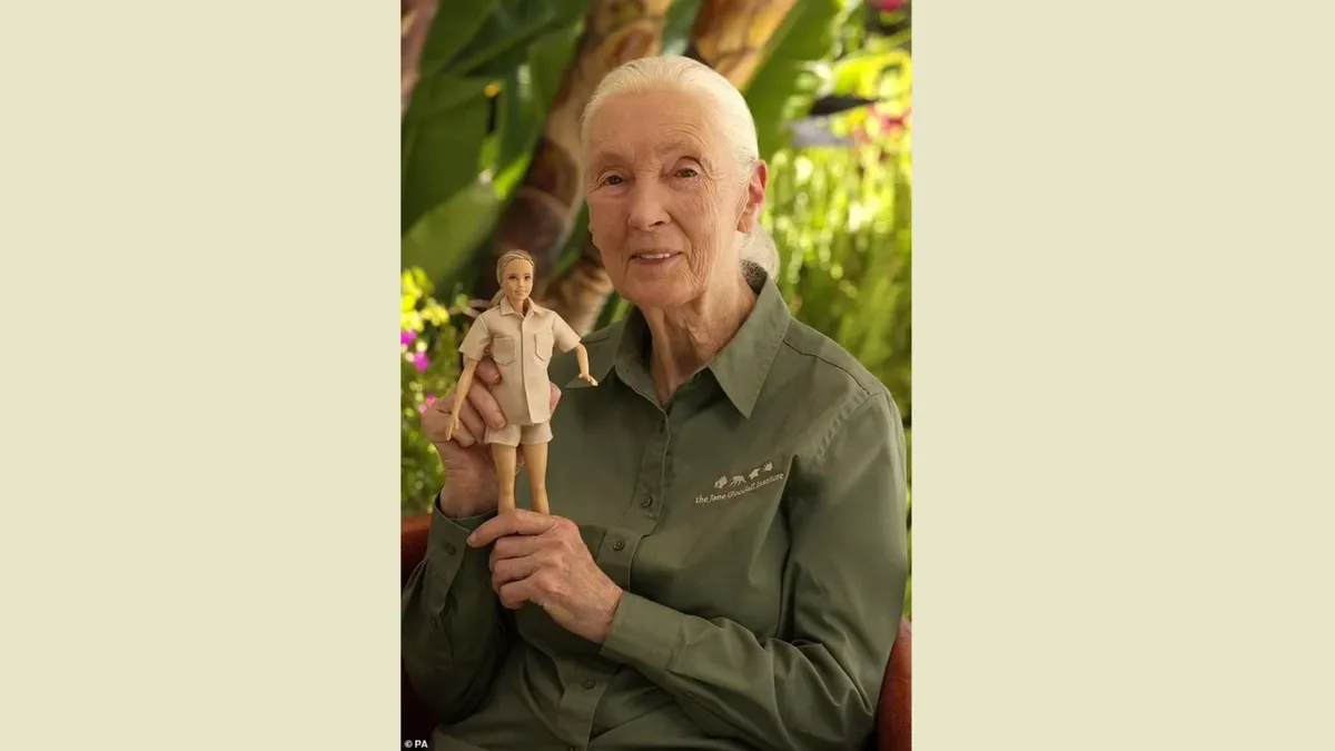 Барби представляет новую куклу в образе доктора Джейн Гудолл: в честь 88-летнего британского защитника природы.
