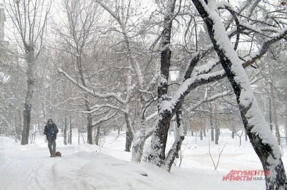 Мороз останется на ближайшие дни
