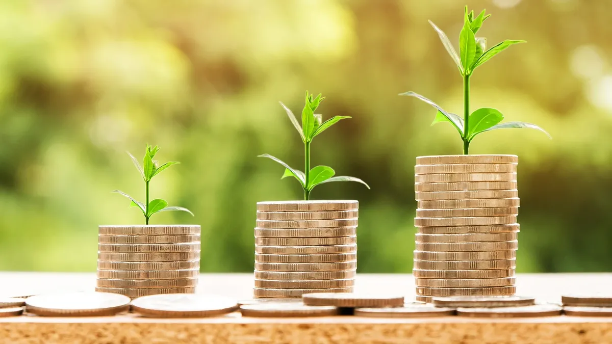 Растущий организм требует финансовых вложений. Фото: pixabay.com