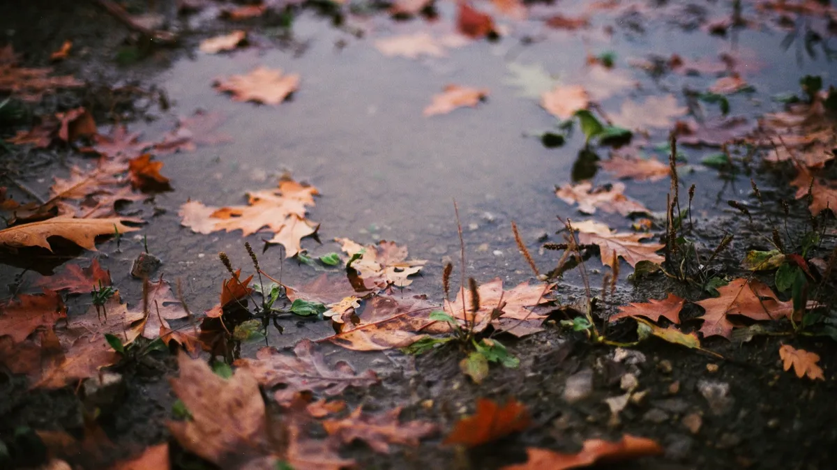 Октябрь – один из самых дождливых месяцев. Фото: unsplash.com
