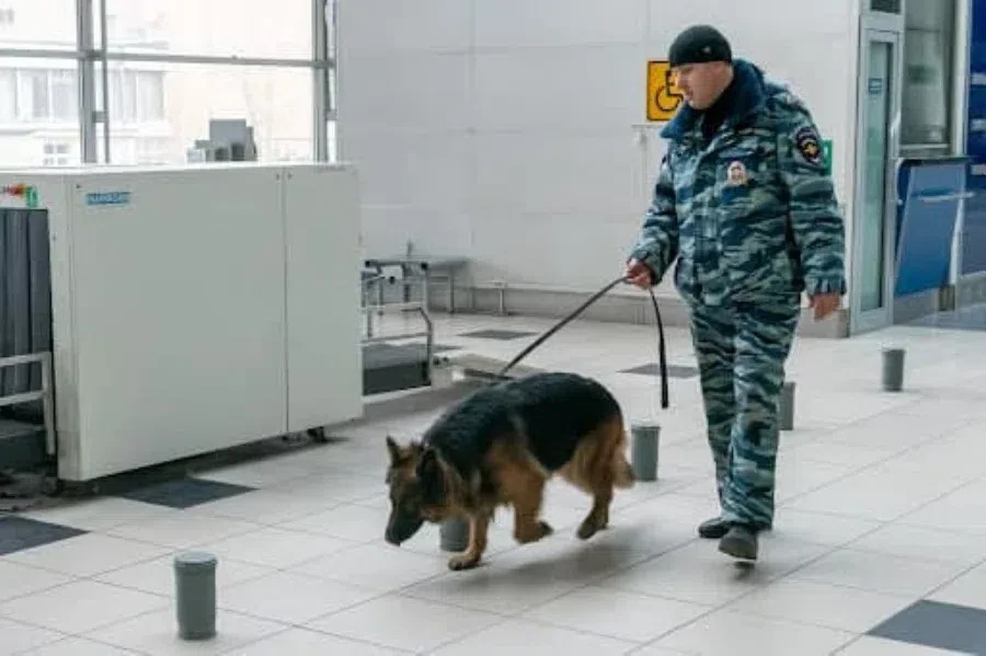 Новости Москвы - БезФормата