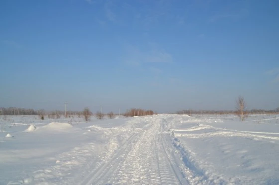 DSC_0142 Так сейчас выглядит дорога до Академгородка