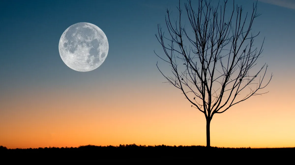 Коридор затмений - время между двумя затмениями: лунным и солнечным, наоборот. Фото: www.piqsels.com