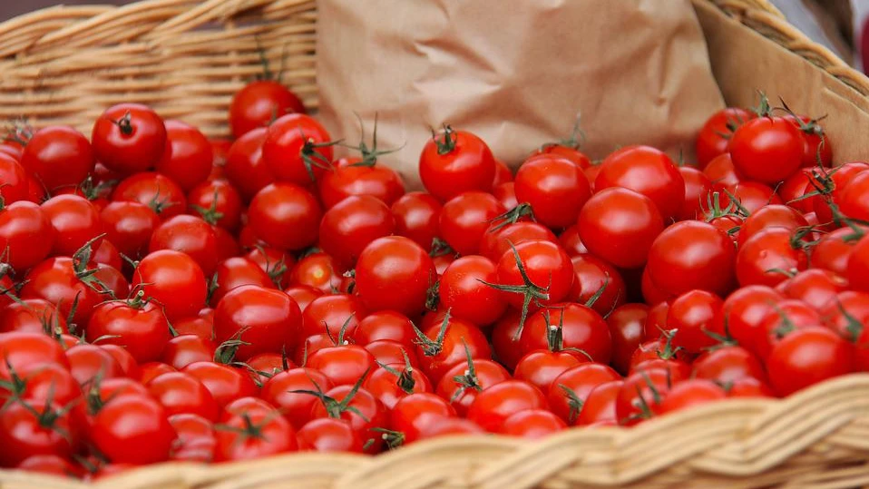 О чего зависит вкус домашних помидоров: важные советы по выращиванию самых вкусных томатов на вашей даче
