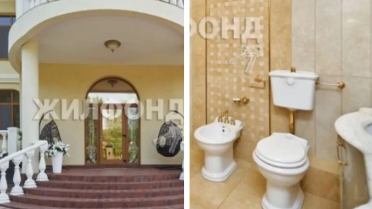 Комната для шуб, унитазы с позолотой и целый этаж спа: В Новосибирске решили продать пятиэтажный особняк за 110 миллионов рублей – фото дорогого великолепия