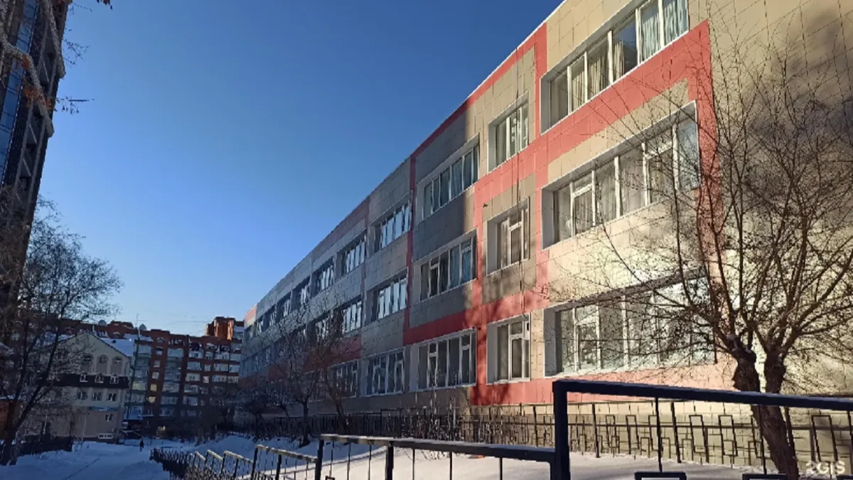 «Родители поругались в чате» В Новосибирске уволили директора гимназии №10 – третьекласснице объявили бойкот – она считает себя жертвой буллинга