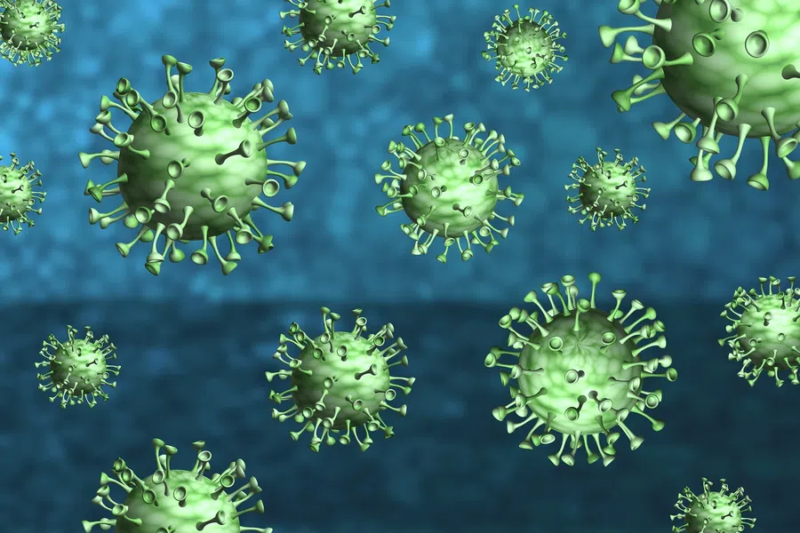 Вирусолог назвал штамм омикрон живой вакциной от коронавируса