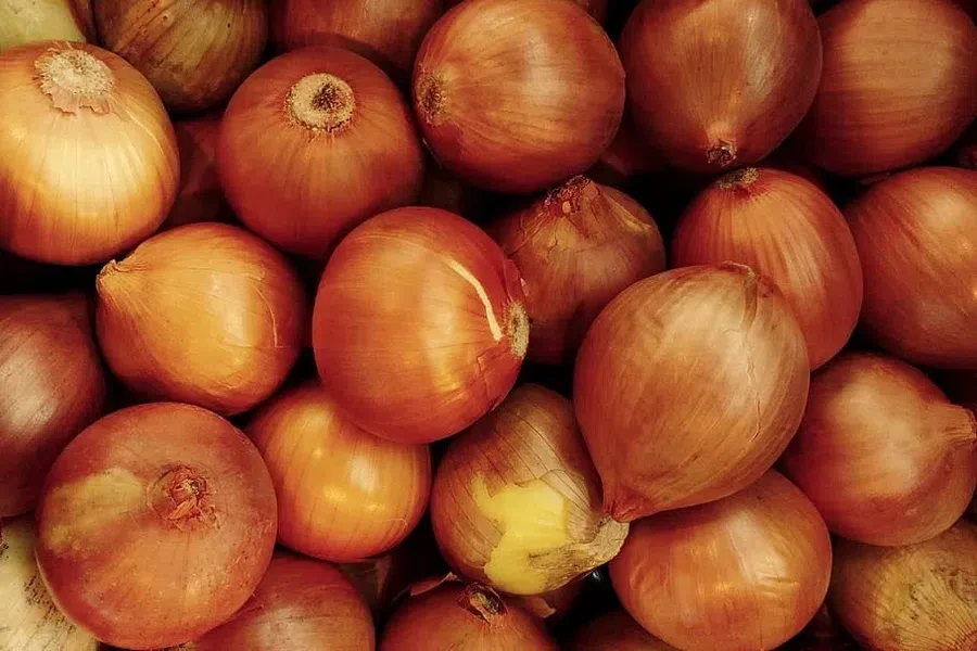 лук