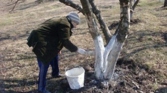 Субботник
