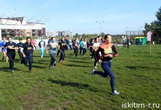Легкоатлетический кросс 