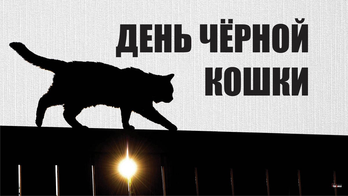 День черного кота. День черной кошки. Открытки 17 ноября день черной кошки. День защиты чёрных кошек. День черного кота 17 ноября.