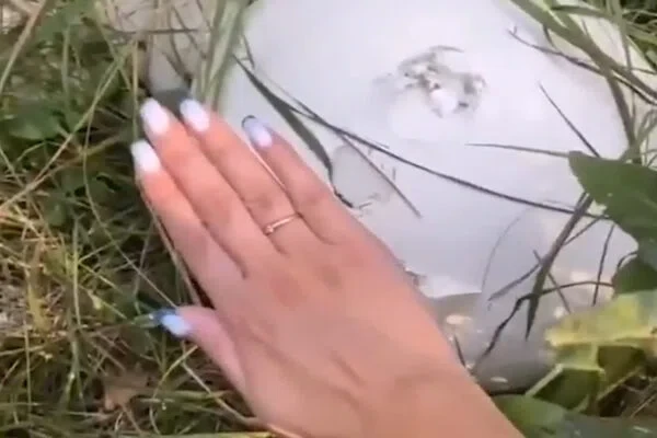 Скриншот из видео
