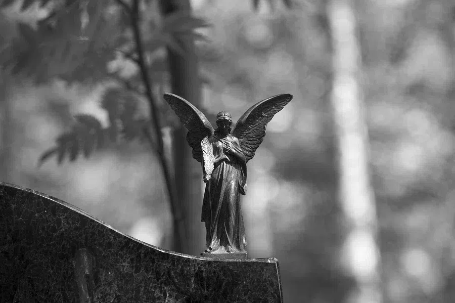 кладбище, ангел